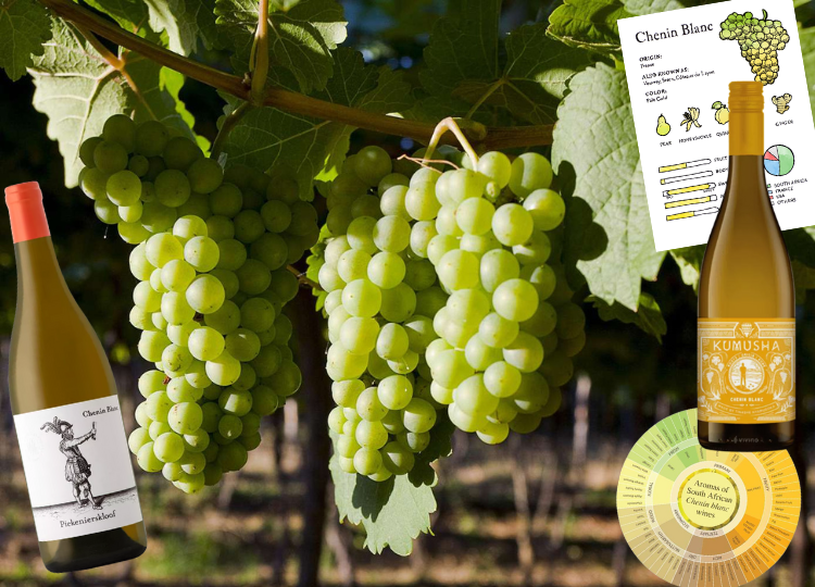 8x Chenin Blanc Uncorked